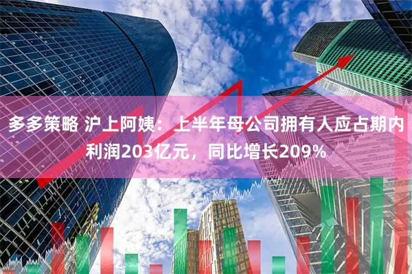 多多策略 沪上阿姨：上半年母公司拥有人应占期内利润203亿元，同比增长209%