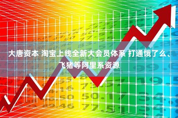 大唐资本 淘宝上线全新大会员体系 打通饿了么、飞猪等阿里系资源
