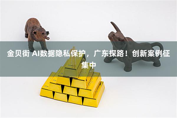 金贝街 AI数据隐私保护，广东探路！创新案例征集中