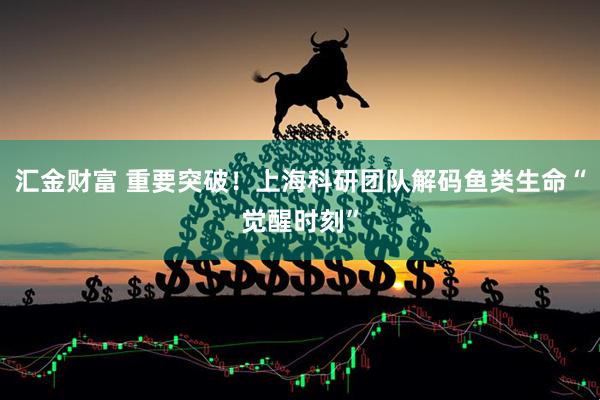 汇金财富 重要突破！上海科研团队解码鱼类生命“觉醒时刻”