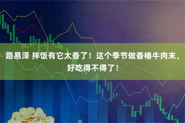 路易泽 拌饭有它太香了！这个季节做香椿牛肉末，好吃得不得了！